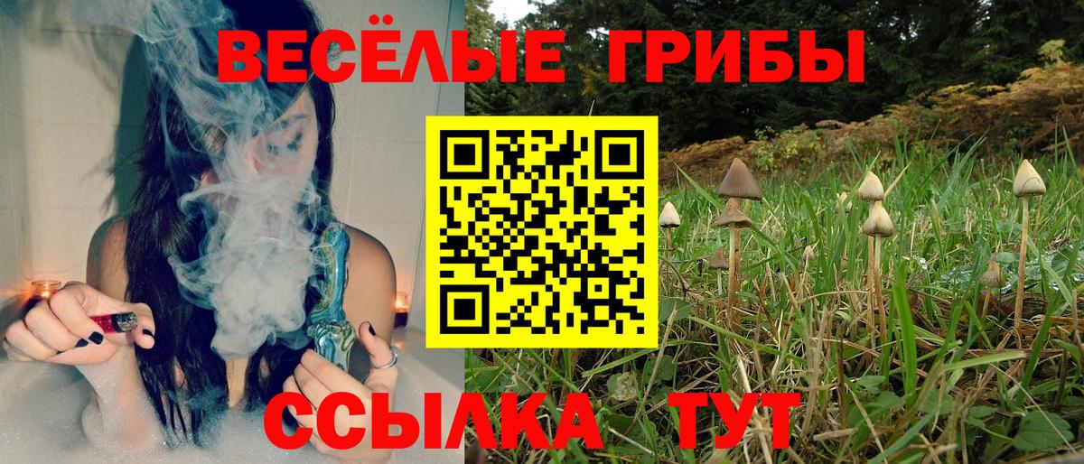 Псилоцибиновые грибы Psilocybe  Псилоцибиновые грибы Psilocybine cubensis  Вход с VPN  Саров 