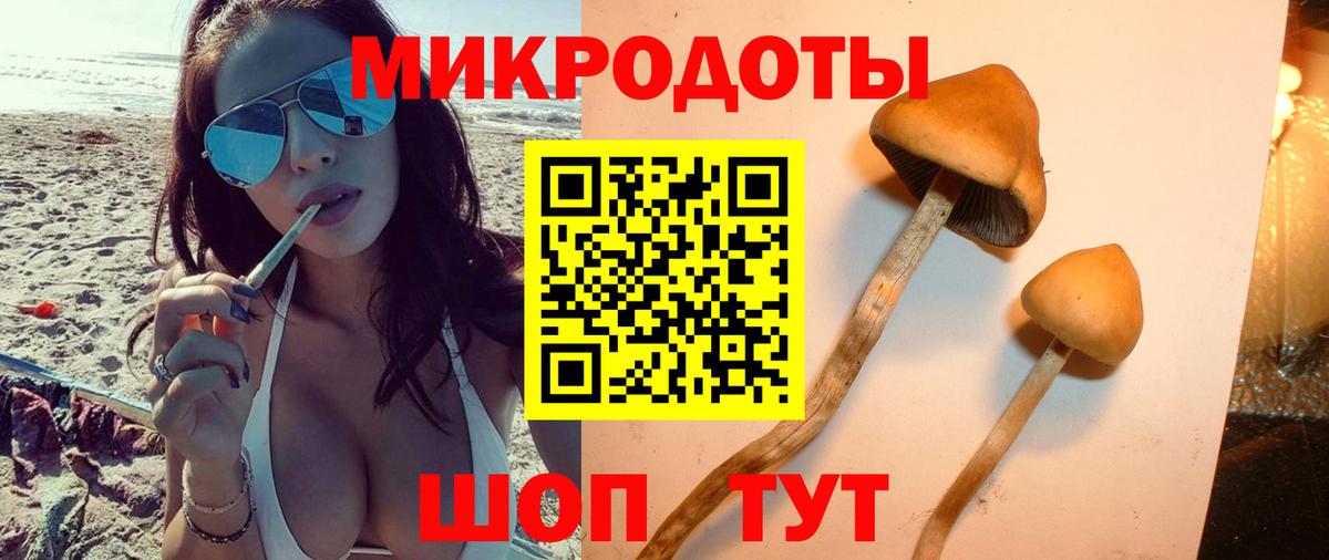 Галлюциногенные грибы Psilocybine cubensis Саров